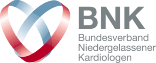 bnk-ev_logo_2023-89c36418